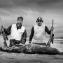 A group of camo-clothed hunters roamed along a beach on Quebec’s Magdalen Islands one day this past November, settling themselves along a stretch of shore where grey seals were most active. Some carried rifles, another had a hakapik, which is a club used for harvesting seals.  That was how Aija Komangapik took part in seal hunting for the first time in almost 10 years.  “I’m really happy to be here to experience this because after about a decade of not doing this kind of thing, I think I was starting to get a little bit heartsick,” she said.